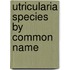 Utricularia Species by Common Name