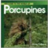 Welcome to the World of Porcupines