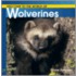 Welcome to the World of Wolverines