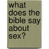 What Does The Bible Say About Sex?
