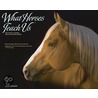 What Horses Teach Us 2011 Calendar by Unknown