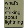 What's So Striking About Lightning door Roger Howerton