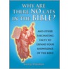 Why There Are No Cats In The Bible by George Davidson