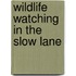 Wildlife Watching In The Slow Lane