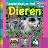 Raadselplaatjes met dieren by Diverse auteurs