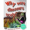 1st Questions And Answers Dinosaurs door Camilla DeLaBedoyere