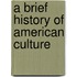 A Brief History Of American Culture