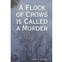 A Flock of Crows Is Called a Murder