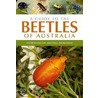 A Guide To The Beetles Of Australia by Paul Zborowski