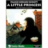 A Little Princess (Library Edition) door Frances Hodgston Burnett