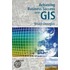 Achieving Business Success With Gis