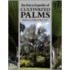 An Encyclopedia Of Cultivated Palms