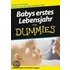 Babys Erstes Lebensjahr Fur Dummies
