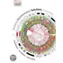 Building Bioinformatics Solutions C