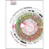 Building Bioinformatics Solutions P