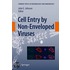 Cell Entry By Non-Enveloped Viruses