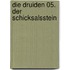 Die Druiden 05. Der Schicksalsstein