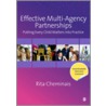 Effective Multi-Agency Partnerships door Rita Cheminais