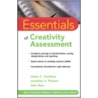 Essentials of Creativity Assessment door Jonathan A. Plucker