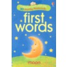 First Words Look and Say Flashcards door Jo Litchfield