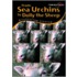 From Sea Urchins To Dolly The Sheep