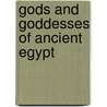 Gods and Goddesses of Ancient Egypt door Janeen R. Adil