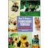 Guide To Owning A Yorkshire Terrier