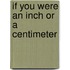 If You Were An Inch Or A Centimeter
