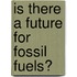 Is There a Future for Fossil Fuels?