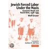 Jewish Forced Labor Under The Nazis door Wolf Gruner