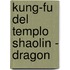 Kung-Fu del Templo Shaolin - Dragon