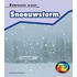 Sneeuwstorm