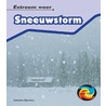 Sneeuwstorm
