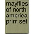 Mayflies of North America Print Set
