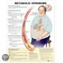 Metabolic Syndrome Anatomical Chart