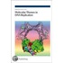 Molecular Themes In Dna Replication