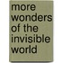 More Wonders of the Invisible World