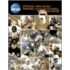 Official Ncaa Football Records Book