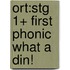Ort:stg 1+ First Phonic What A Din!