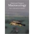 Pattern And Process In Macroecology