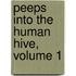 Peeps Into the Human Hive, Volume 1
