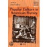 Popular Culture in American History