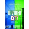 Rollercoasters:the Divided City Rdr by Theresa Breslin