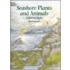 Seashore Plants And Animals Colorin