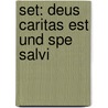 Set: Deus caritas est und Spe salvi door Benedikt Xvi.