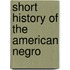 Short History of the American Negro