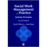 Social Work Management And Practice by Sue Ross
