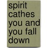 Spirit Cathes You And You Fall Down door Anne Fadiman