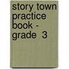 Story Town Practice Book - Grade  3 door Hsp