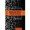 Studying Urban Youth Culture Primer door Greg Dimitriadis